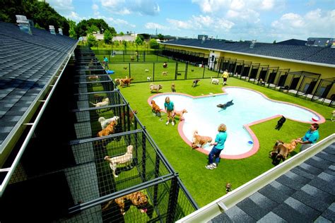 Dog resort - Join The Pack. Subscribe to our email list to occasionally receive news, updates, and special offers. SUBSCRIBE! For 30 years, Miss Kitty's Dog Resort has been the premiere kennel-free dog boarding and dog daycare destination in Nashville, TN.